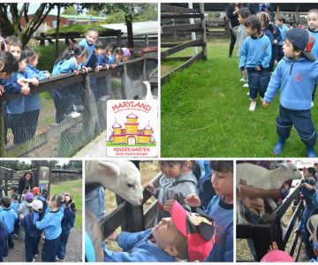 Jardín Bilingüe en Bogotá - Maryland Kindergarten 5